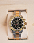 Rolex Daytona Black Dial 116503