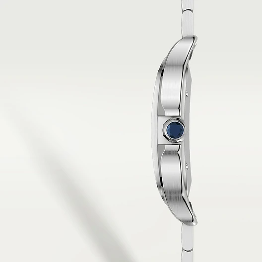 Cartier Santos Large Cadran Bleu WSSA0030