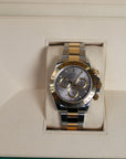 Rolex Daytona Grey Dial 116523