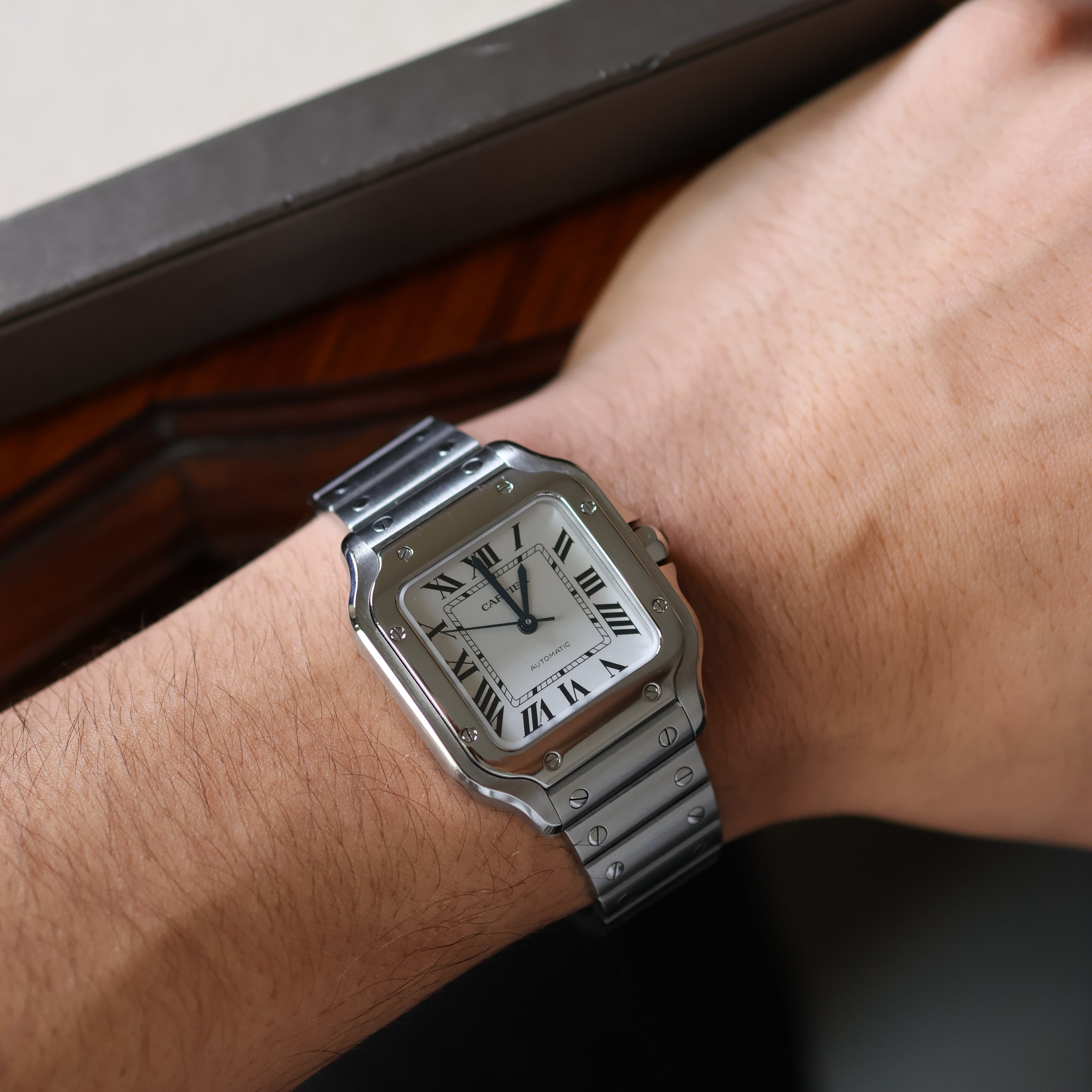 Cartier Santos White Medium WSSA0029