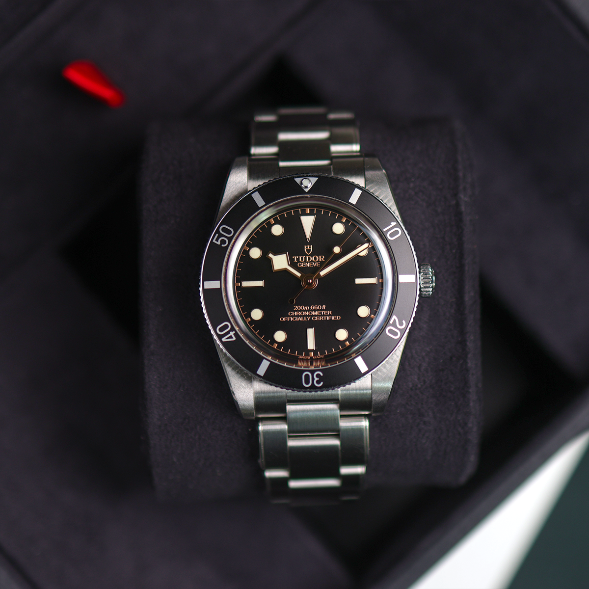 Tudor Black Bay 54 79000N
