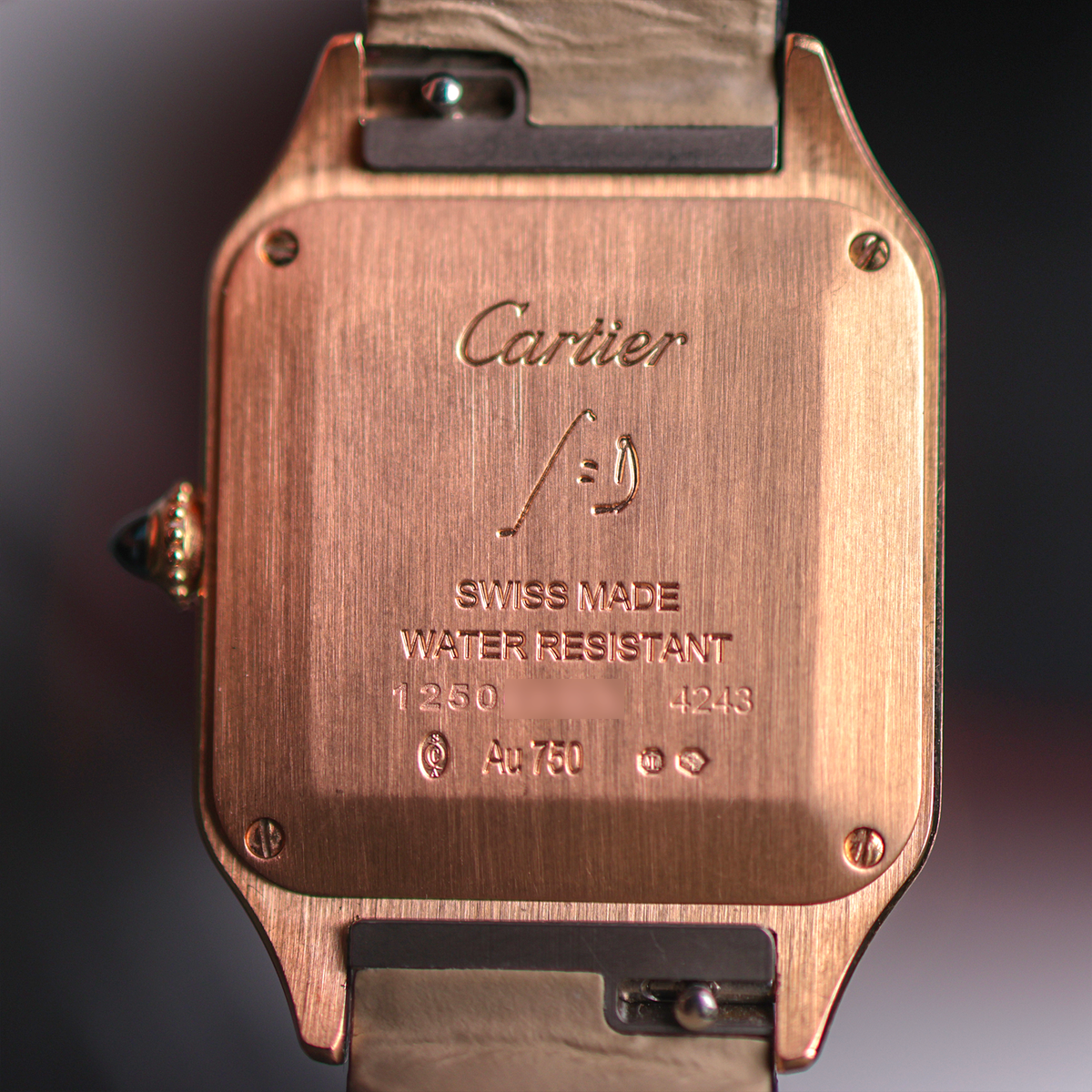 Cartier Santos Dumont WGSA0022