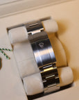 Rolex Oyster Perpetual Pistachio Dial 134300
